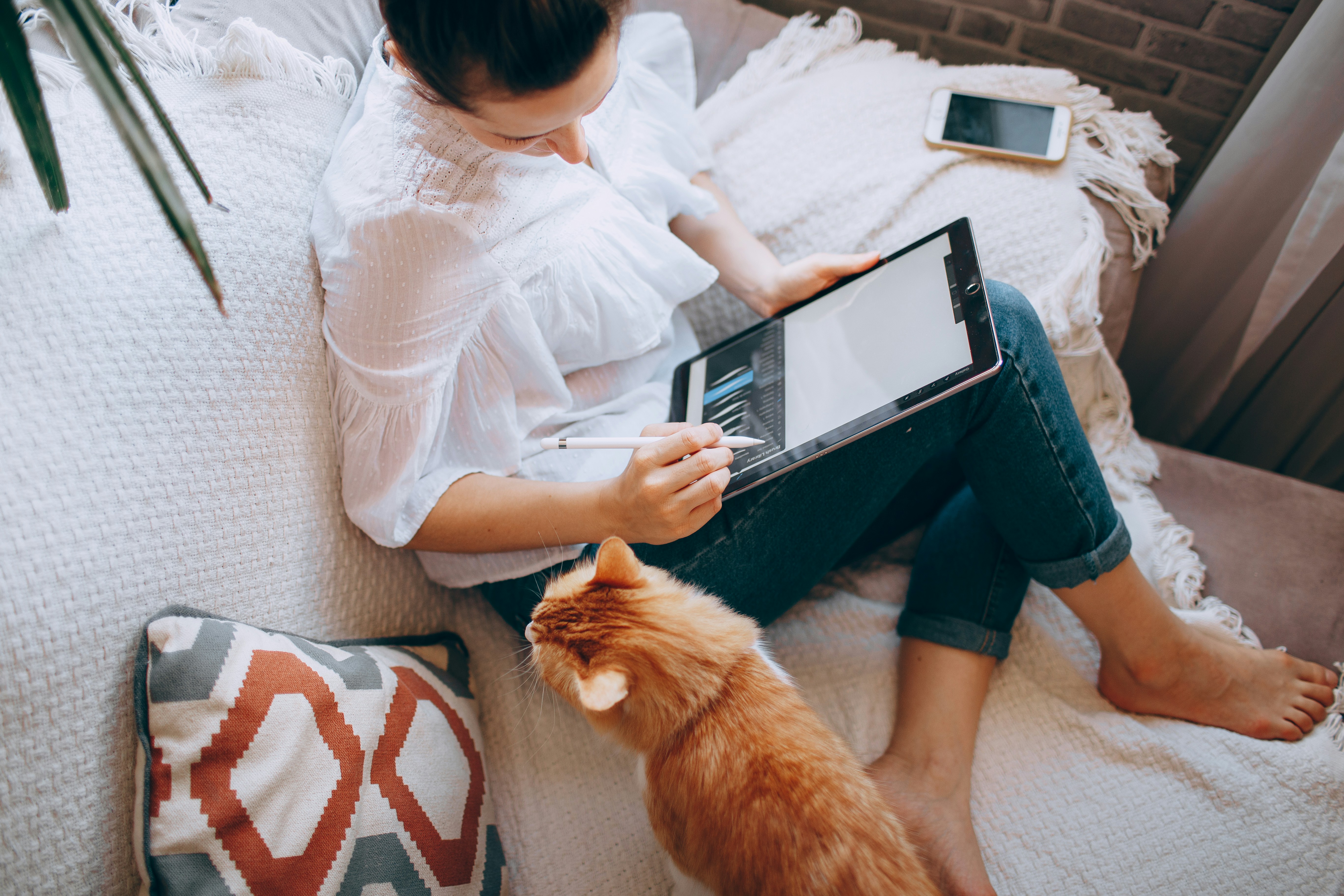 mulher a trabalhar como assistente virtual no computador, no sofá, com um gato